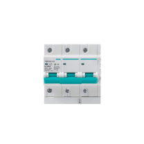 天正 断路器 TGB2D-80R 4P C80 TGB1NLE-125 30mA(祥云3.0) 335021600189