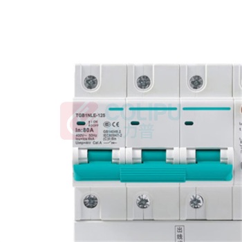 天正 断路器 TGB2D-80R 4P C80 TGB1NLE-125 30mA(祥云3.0) 335021600189