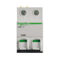 施耐德 Schneider 保护断路器 IC65N-2P-D16A A9F19216