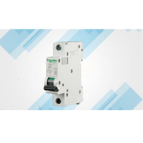 施耐德 Schneider 保护断路器 IC65N-1P-C10A A9F18110