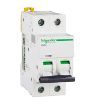 施耐德 Schneider 空气断路器 iC65N2PC2A 220V 小型断路器