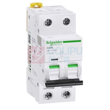 施耐德 Schneider 塑壳断路器 IC65N 2P C2A