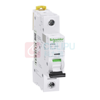 施耐德 Schneider 塑壳断路器 IC65N 1P C2A