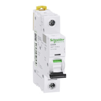 施耐德 Schneider 塑壳断路器 IC65N 1P C2A