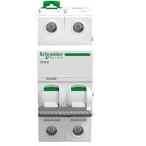 施耐德 Schneider 断路器 A9F29210 IC65H 2P D型10A