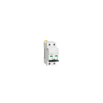 施耐德 Schneider 漏电保护断路器 IC65N 2P 16A (本色)