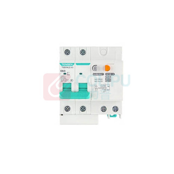 天正 漏电保护断路器 TGB1NLE-63 2P C 40A 30mA