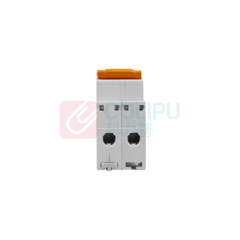 施耐德 Schneider 空气断路器 2P 20A窄款 AC220V
