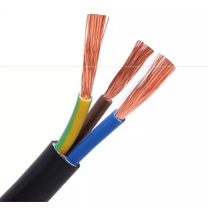 珠江电力 电源线 ZC-RVV 3芯 10A 1m