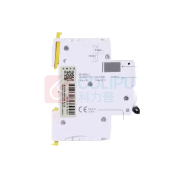 施耐德 Schneider 小型断路器 IC65N 2P C6A