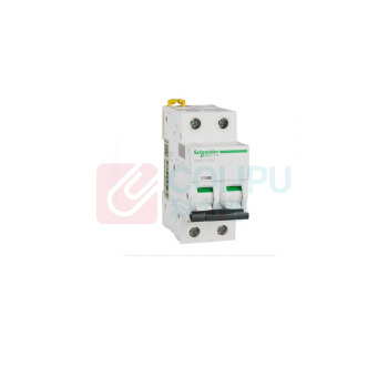 施耐德 Schneider 断路器 IC65N 2P C40A