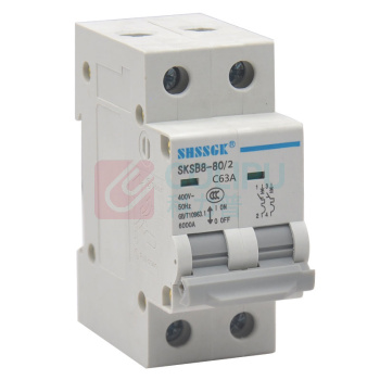 赛时工控 SHSSGK 低压空气开关 SKSB8-80/2 2P C63A / (灰白)