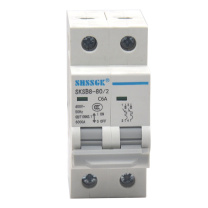 赛时工控 SHSSGK 低压空气开关 SKSB8-80/2 2P C6A / (灰白)