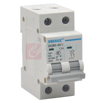 赛时工控 SHSSGK 低压空气开关 SKSB8-80/2 2P C6A / (灰白)