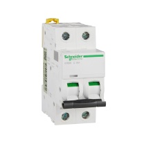 施耐德 Schneider 断路器 IC65N 2P C16A