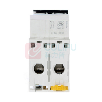 施耐德 Schneider 断路器 IC65N C10A 2P+IOF
