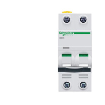 施耐德 Schneider 微型断路器 IC65N 2P C50A