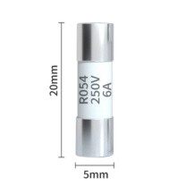 正熔 保险丝(断路器附件) R054 6A 250V 100个/盒 5*20mm