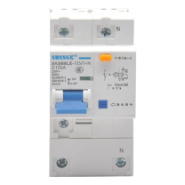 赛时工控 SHSSGK 漏保小型断路器 SKSB8LE-125/1+N 1P+N C100A / (蓝白)
