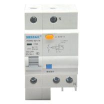 赛时工控 SHSSGK 漏保小型断路器 SKSB8LE-63/1+N C10A / (灰白)
