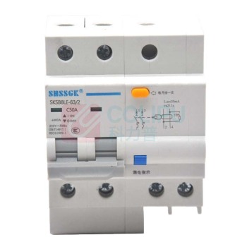 赛时工控 SHSSGK 漏保小型断路器 SKSB8LE-63/2 2P C50A / (灰白)