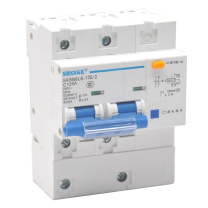 赛时工控 SHSSGK 漏保小型断路器 SKSB8LE-125/2 2P C125A / (蓝白)