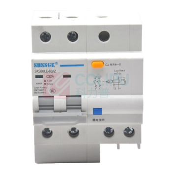 赛时工控 SHSSGK 漏保小型断路器 SKSB8LE-63/2 2P C32A / (灰白)