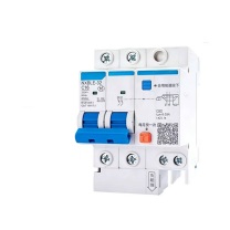 华通 漏电断路器 NXBLE-32 2P C16