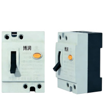 博润 漏电断路器 RDL18-20