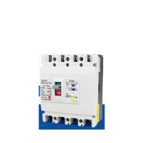 BERM BEM1LE (总制漏电) 剩余电流保护断路器 BEM1LE-125L/4300A 电流:125A