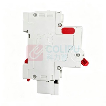 华通 漏电断路器 NXBLE-32 2P C25