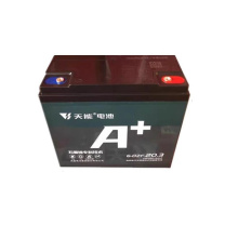 天能 铅酸蓄电池 6-DZF-20 12V 20AH 4只装