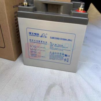理士 蓄电池 DJM1238S 32只/组