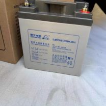 理士 蓄电池 DJM1238S 32只/组
