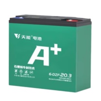 天能 铅酸蓄电池 6-DZF-20.3