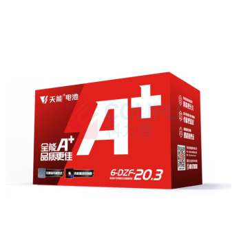 天能 铅酸蓄电池 6-DZF-20.3