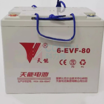 天能 扫地车电瓶 6-evf-100AH12v