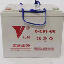 天能 扫地车电瓶 6-evf-100AH12v
