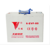 天能 EV胶体蓄电池 6-EVF-80 12V 80AH/3hr