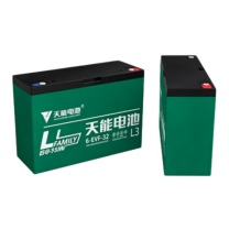 天能 电瓶车电池 6-EVF-32 12V 32AH 262*77*171MM