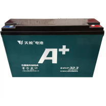 天能 电池 48V32Ah 4只/组