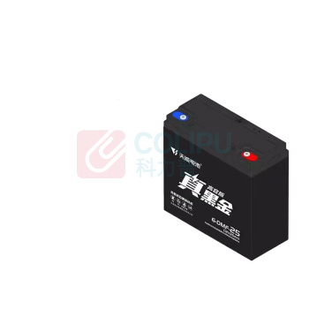 天能 蓄电池 6-DZF-22.5 60v 25Ah 12V/只 5只装/组