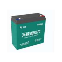 天能 免维护铅酸蓄电池 6-DZF-20.5 12v 20.5Ah