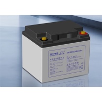 理士 铅酸免维护蓄电池 DJM1240S 12V40AH