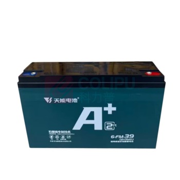 天能 电瓶车电池 6-FM-39 铅酸电瓶12V39Ah 电池专用充电器电动车电瓶车
