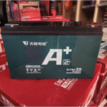 天能 电瓶车电池 6-FM-39 铅酸电瓶12V39Ah 电池专用充电器电动车电瓶车