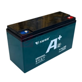 天能 电瓶车电池 6-FM-39 铅酸电瓶12V39Ah 电池专用充电器电动车电瓶车