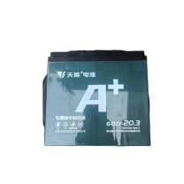 天能 阀控式铅酸蓄电池 6-DZF-20.3 12V20.3Ah
