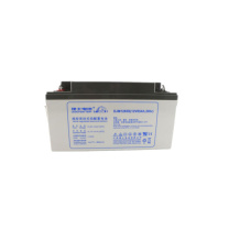 理士 蓄电池 EPS电源 UPS电源 高压房直流屏蓄电池 DJM1265 12V 65AH