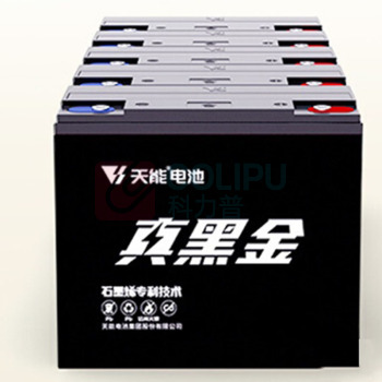 天能 蓄电池 6-EVF-45.6 